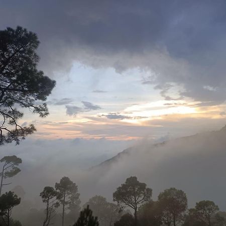 The Western Heights I Serviced Apartments I Pvt Balcony I Lift I Peacefull Area I Family Accomodation I Kasauli I By Exotic Stays Kültér fotó