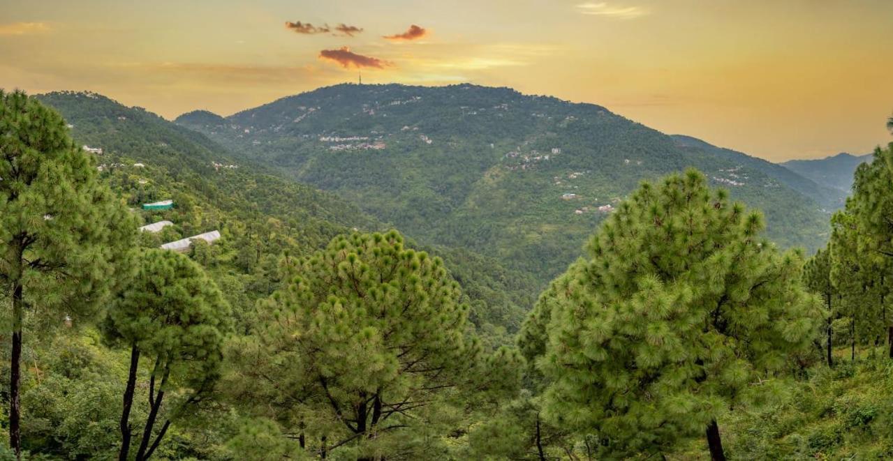 The Western Heights I Serviced Apartments I Pvt Balcony I Lift I Peacefull Area I Family Accomodation I Kasauli I By Exotic Stays Kültér fotó