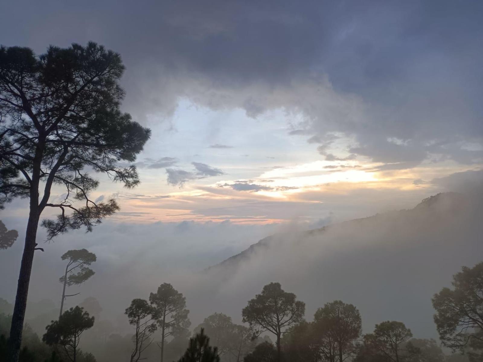 The Western Heights I Serviced Apartments I Pvt Balcony I Lift I Peacefull Area I Family Accomodation I Kasauli I By Exotic Stays Kültér fotó